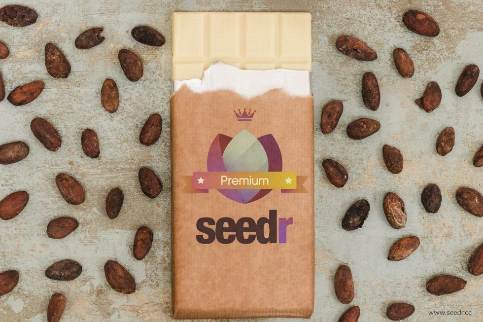 Plans annuels Seedr : deux mois gratuits, plus de nouvelles options de paiement